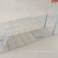 Piège de souris à capture de vie célibataire à cage.